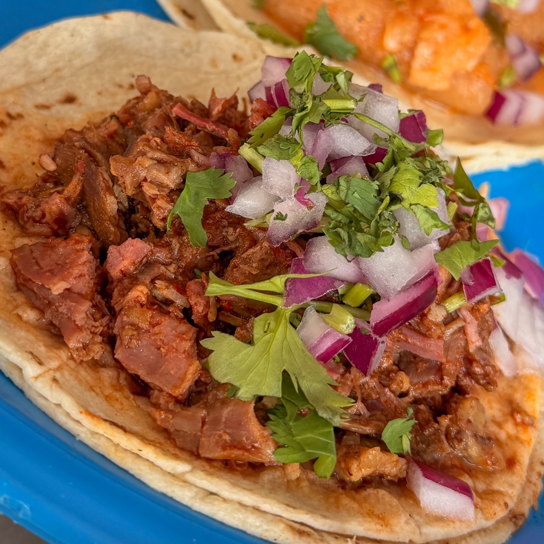Taco de barbacoa con cebolla morada y cilantro